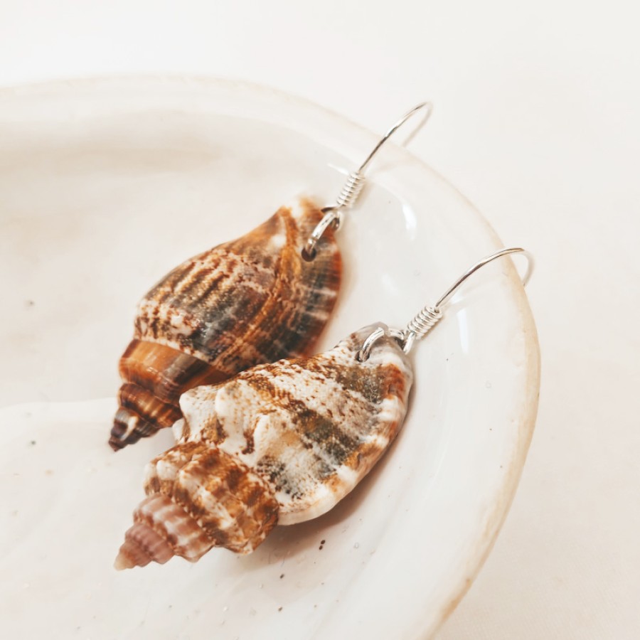 Auskarai "Silver Shell"