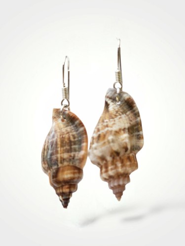 Auskarai "Silver Shell"