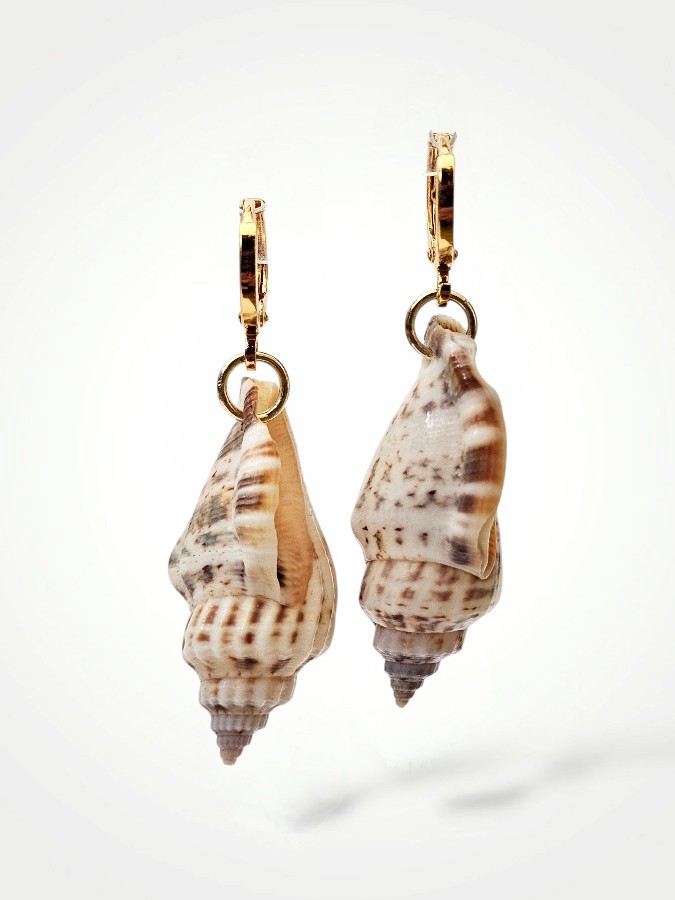 Auskarai "Shell"